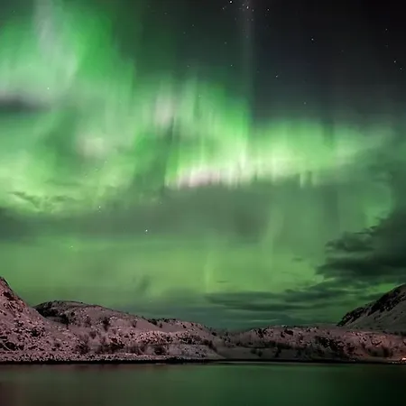 Skarvagen Oceanfront * Bo (Nordland)